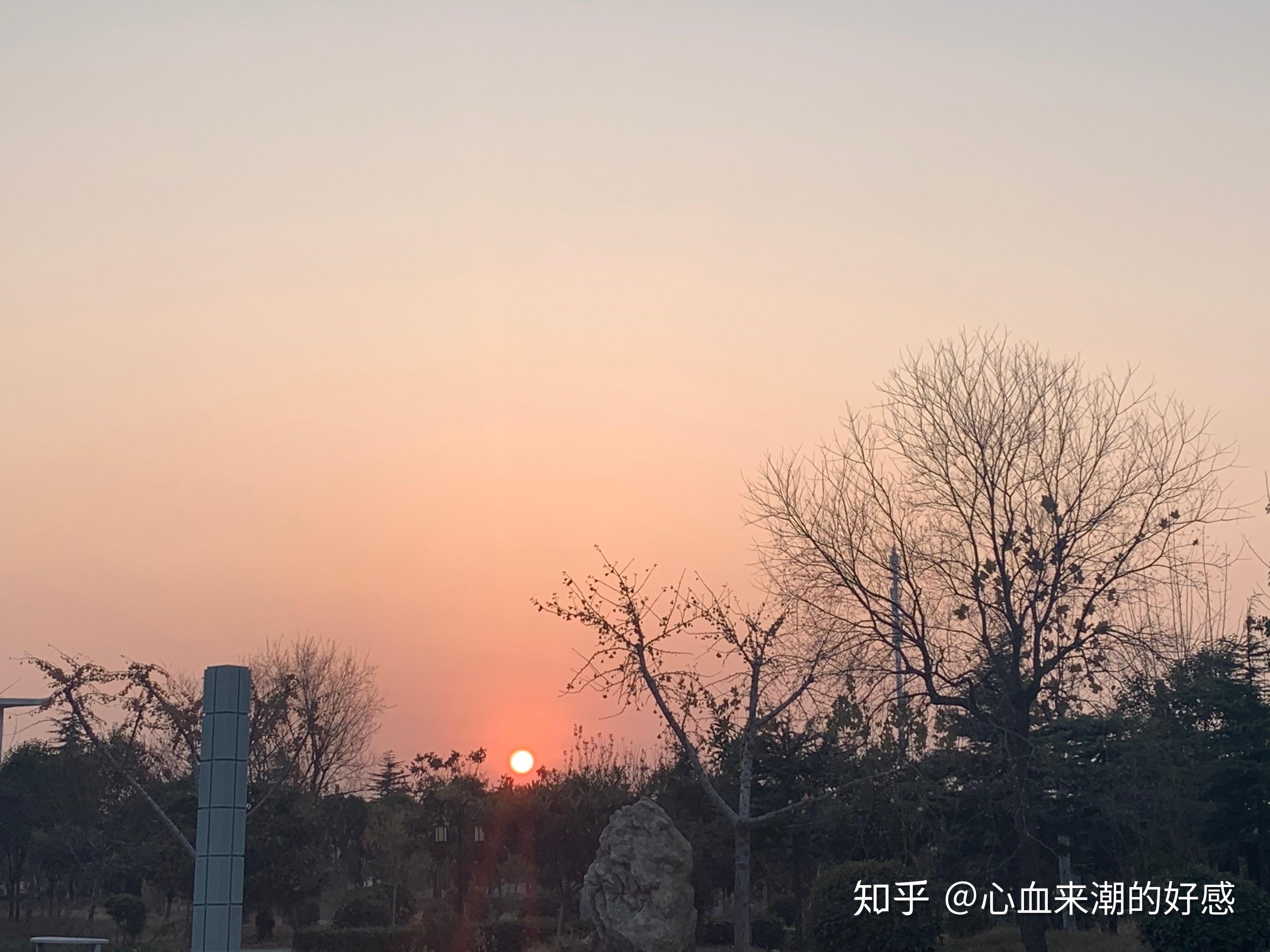 买x,xr还是xsmax,纠结到死的人?