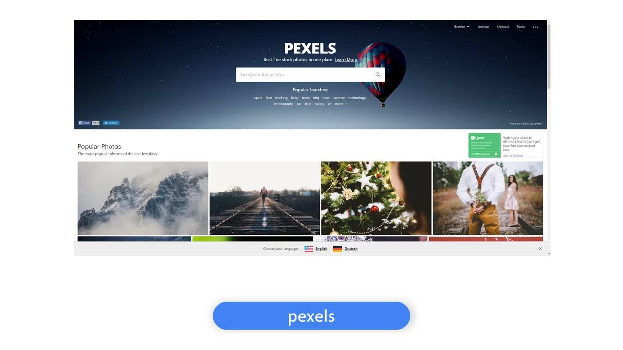 pexels网站图片图片