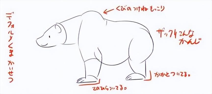 如何画真实的熊讲解北极熊和棕熊的画法区别