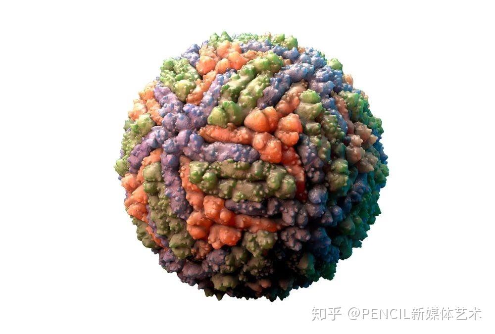 巴西寨卡zika病毒3d模型