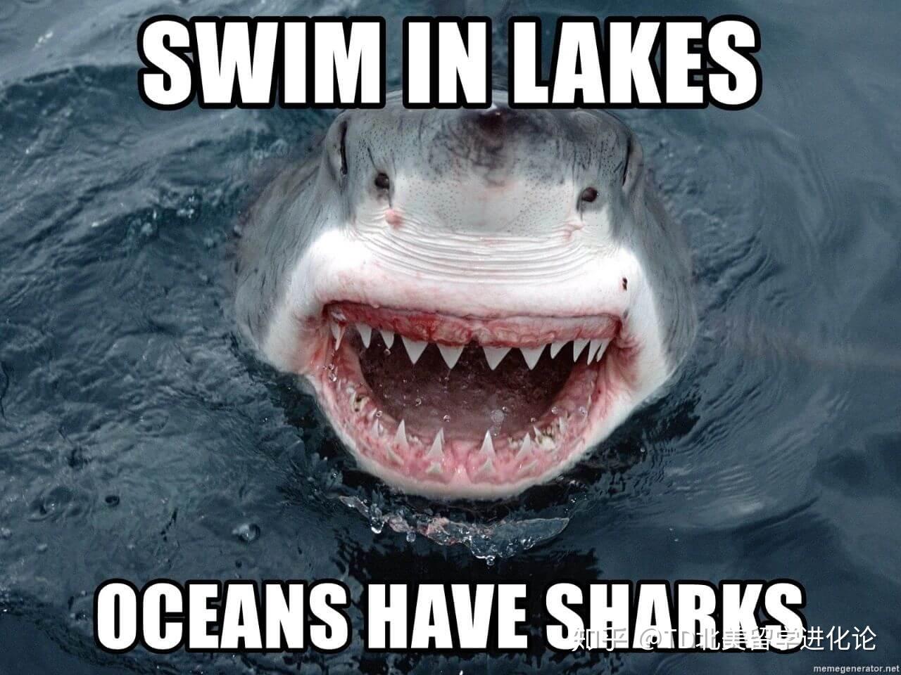 2020年选择全面网课的f1和m1留学生不予发签证在美