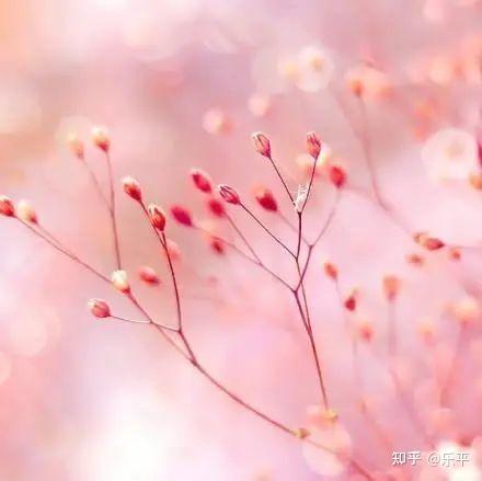 超级干净温柔的文案(温柔干净的文案短句  触动内心的文案句子，经典走心)