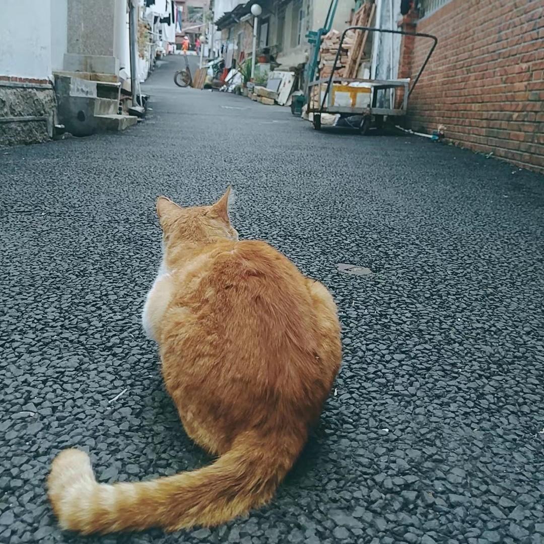 三天