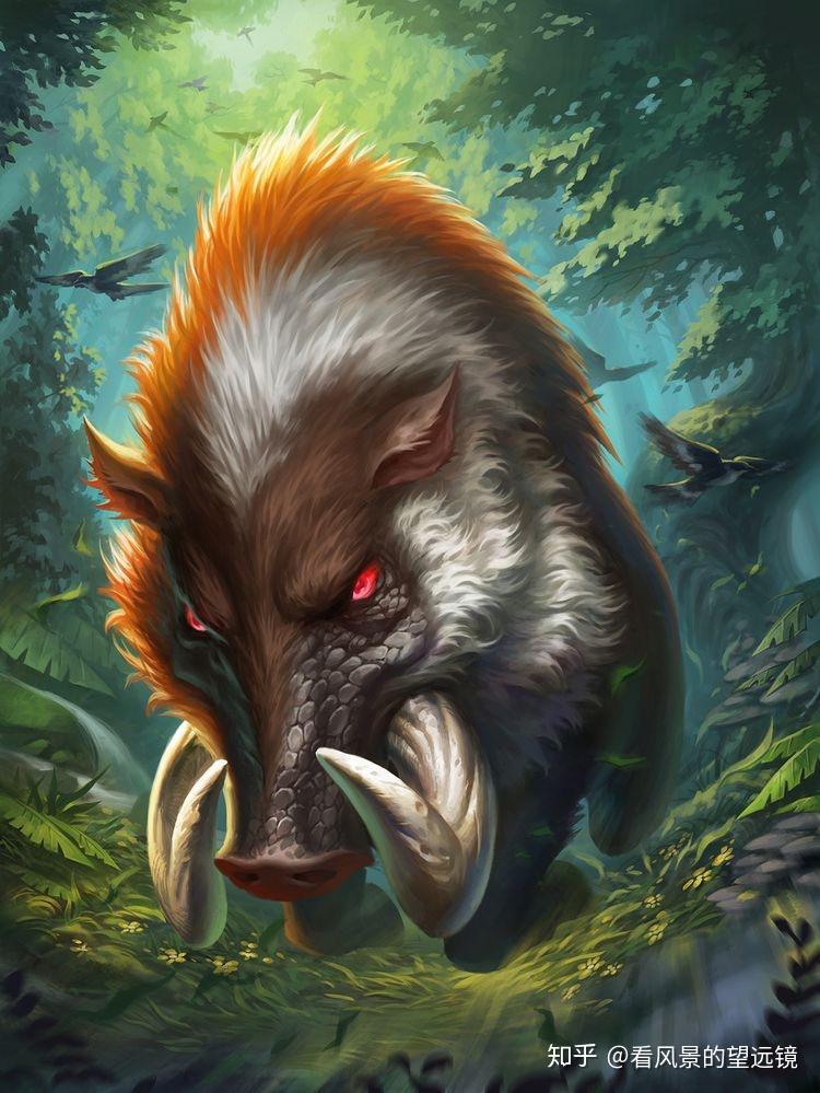 72千古难题亲情和爱情怎么选野猪给出答案