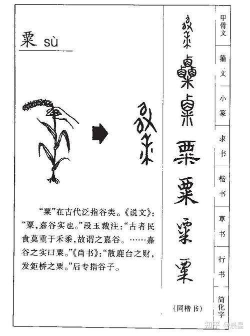 舌尖上的中国:古人都靠吃什么过活?中国古代粮食生产格局发展演变 - 知乎