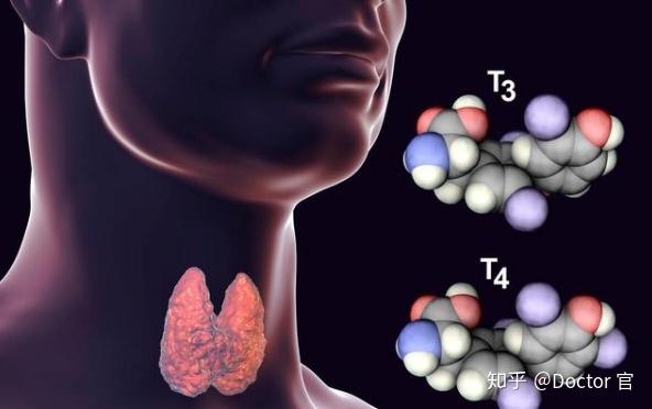 甲状腺微粒体抗体 zhuanlan.zhihu.com