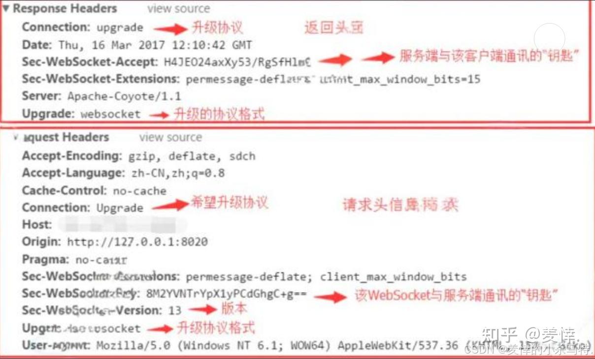 C++ 网络通信实践：cpp-httplib 与 websocketpp 入门指南，轻松实现 HTTP 与 WebSocket 交互 - 知乎