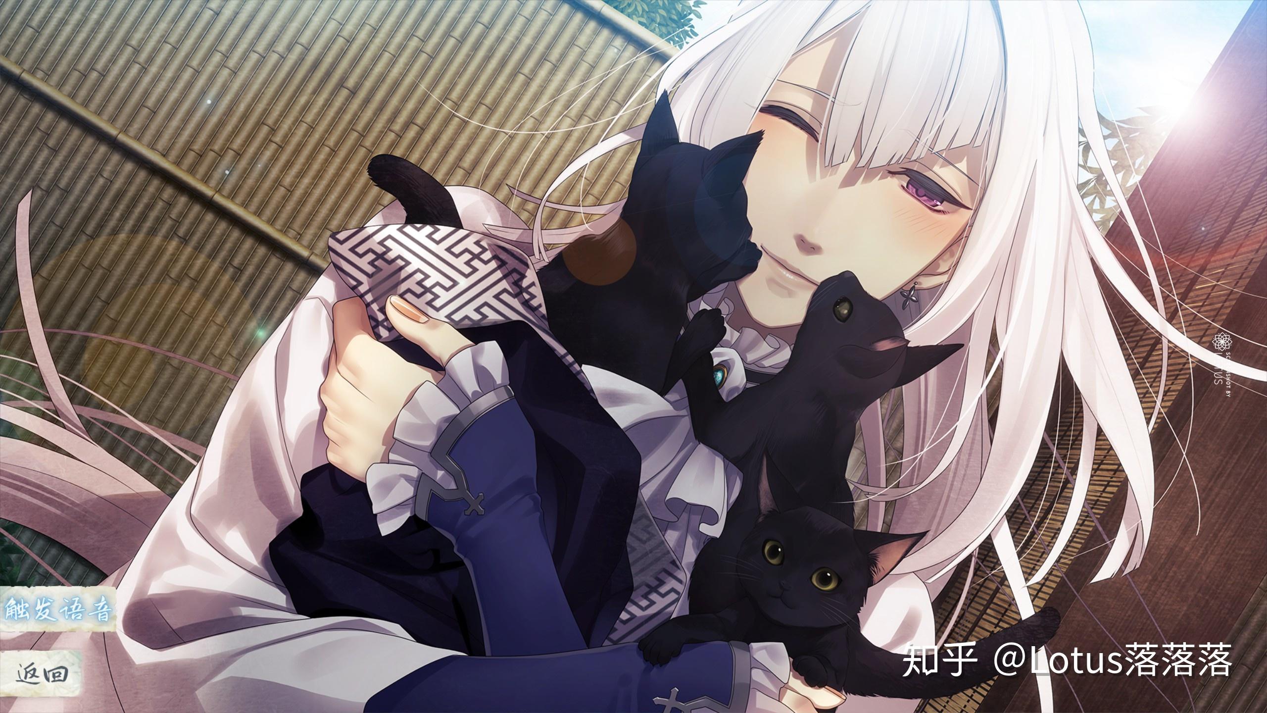 剑为君舞·百夜缀丨是剑之道,也是人之道