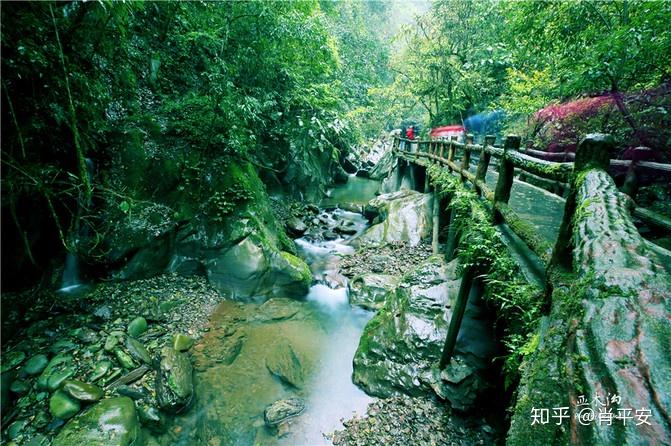 梵净山升仙之山,超越时空的净地,世间难得的一方净土-仙气飘飘的梵净山叫什么