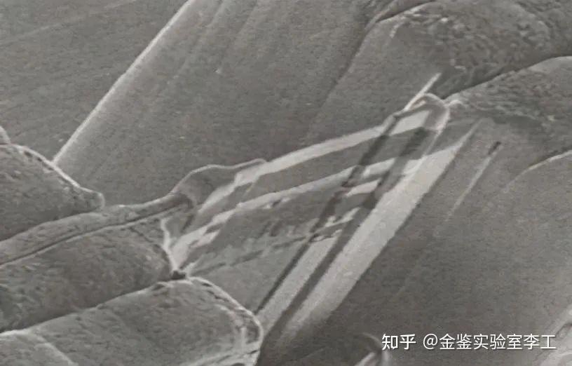 四大常见电镜制样方法简介：TEM、SEM、冷冻、金相 - 知乎