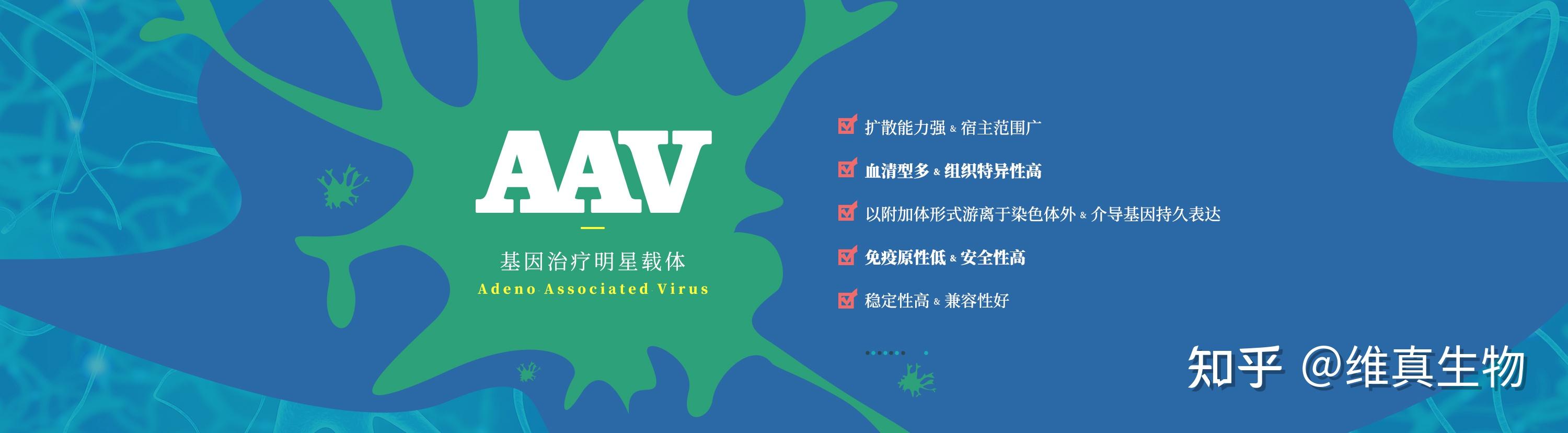 腺相关病毒/AAV应用的选择策略-载体系统、血清型、启动子、注射方式 - 知乎