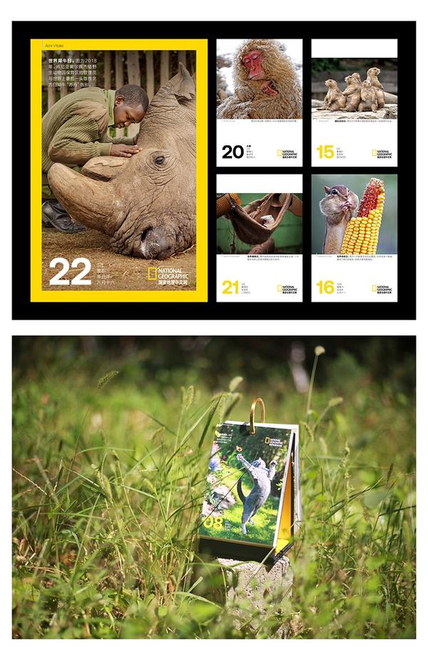 2021年有哪些好看有创意的日历值得买?