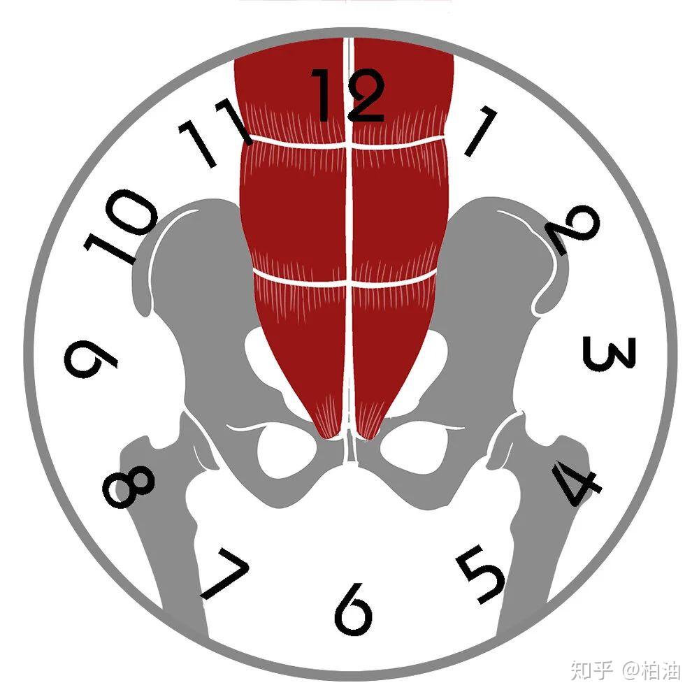 为什么久坐会导致腰大肌紧张怎么放松