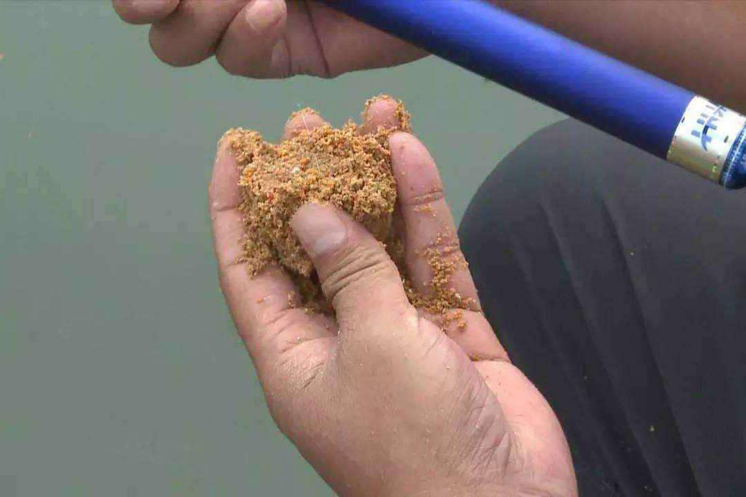 钓鱼界的独家秘方只有野钓高手才懂上鱼多是有原因的