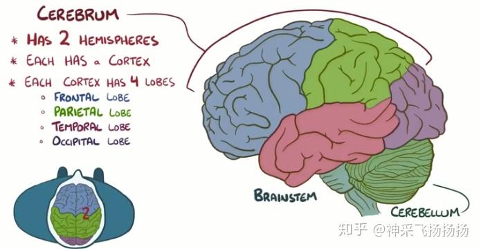 医学科普之蛛网膜下腔出血