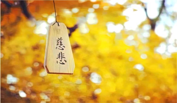 睡个好觉正念慈悲心拒绝冷漠感受善意