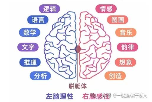 策划需要锻炼思维来为我们的大脑带来更多的灵感