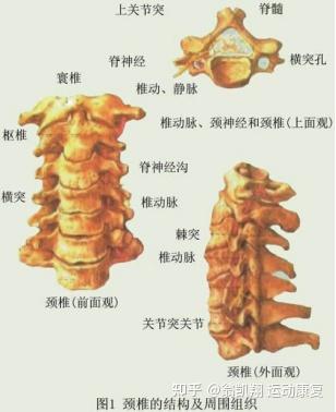 v2-2eba366b0e1bbf06901817f3f3c6e8db_b.jpg