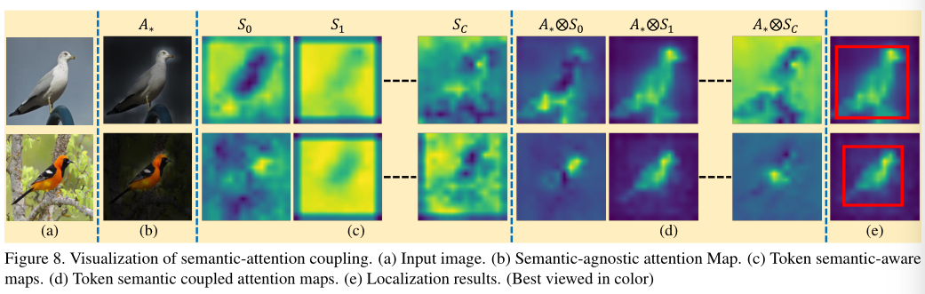 【论文阅读】《TS-CAM: Token Semantic Coupled Attention Map for Weakly ...