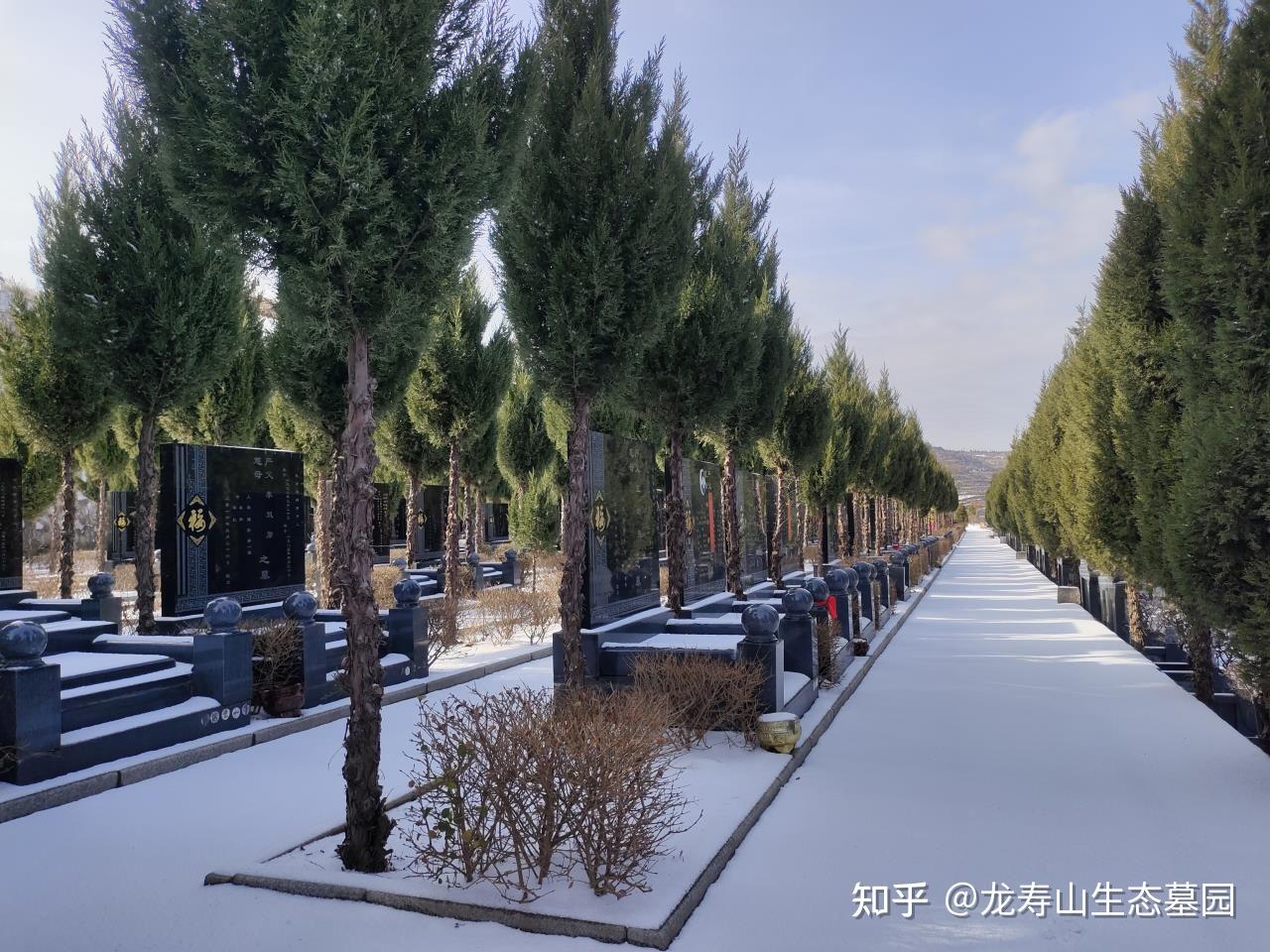 临渭区龙寿山墓园15209207263