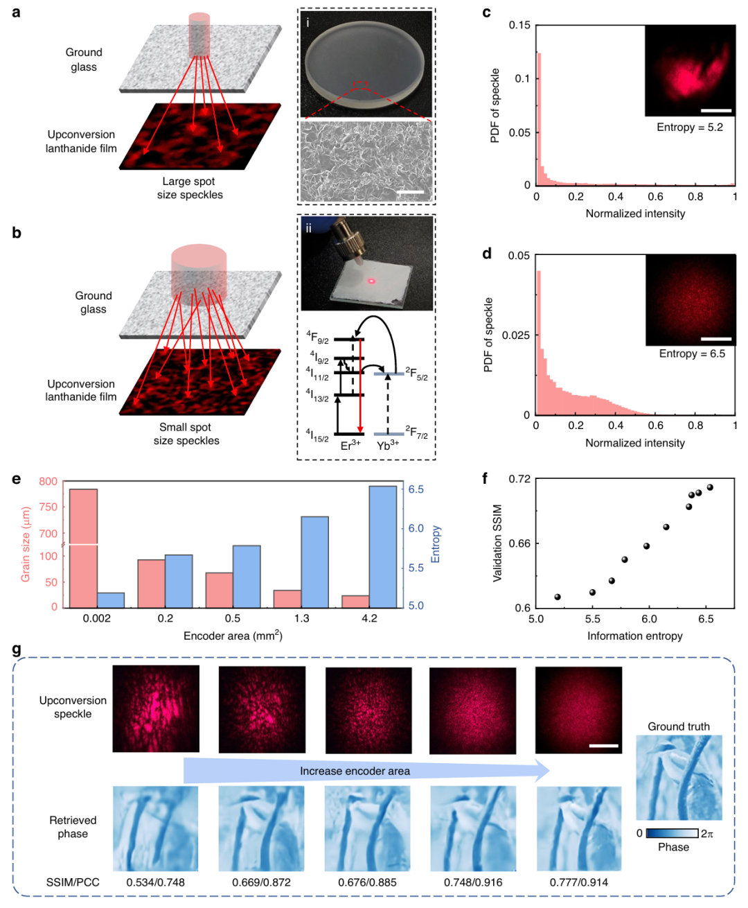 广东工业大学/暨南大学/厦门大学最新Light: science & applications:用于红外复振幅成像的上转换光学熵编码! - 知乎