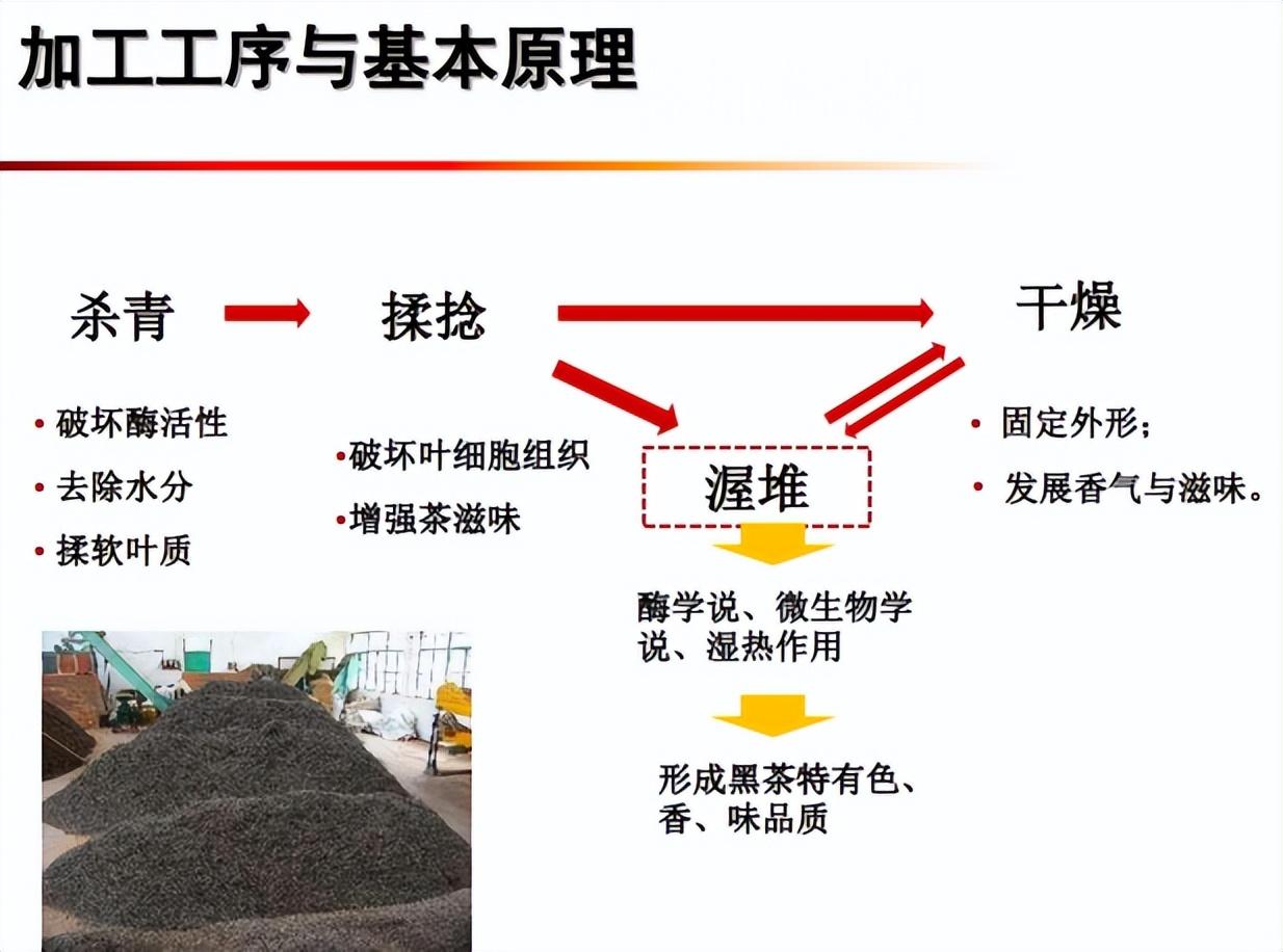 黑茶| 各个地区的黑茶都有什么样的加工工艺
