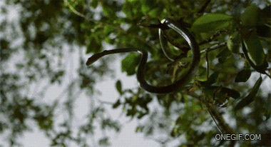 380_206gif 动态图 动图