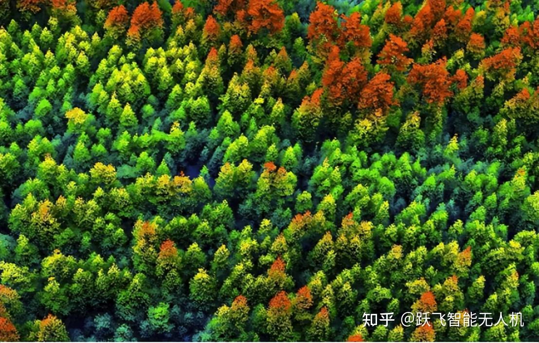 基于激光雷达技术的林业资源三维立体调查系统 - 知乎
