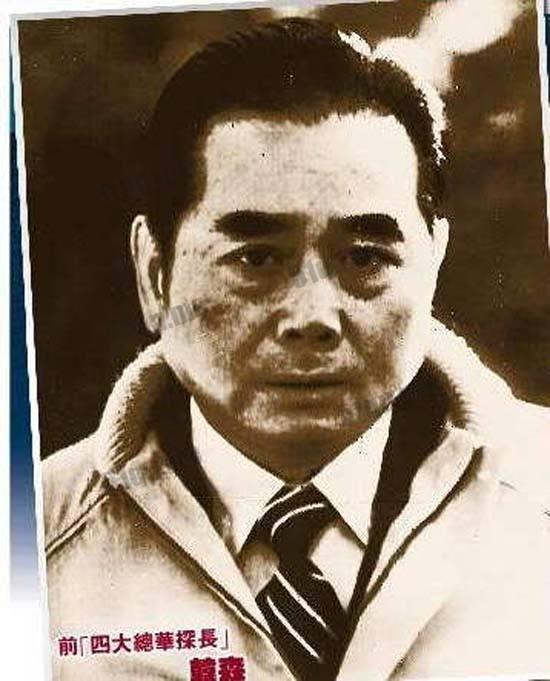 韩森:在位仅两个月的总华探长