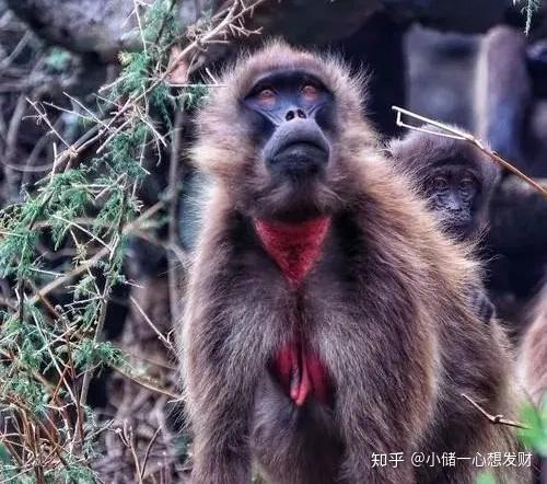 厚嘴唇为什么成为了性感的标志