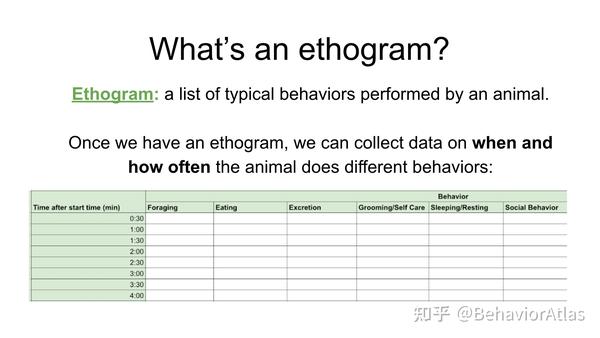 「Ethogram/行为谱」是什么？ - 知乎