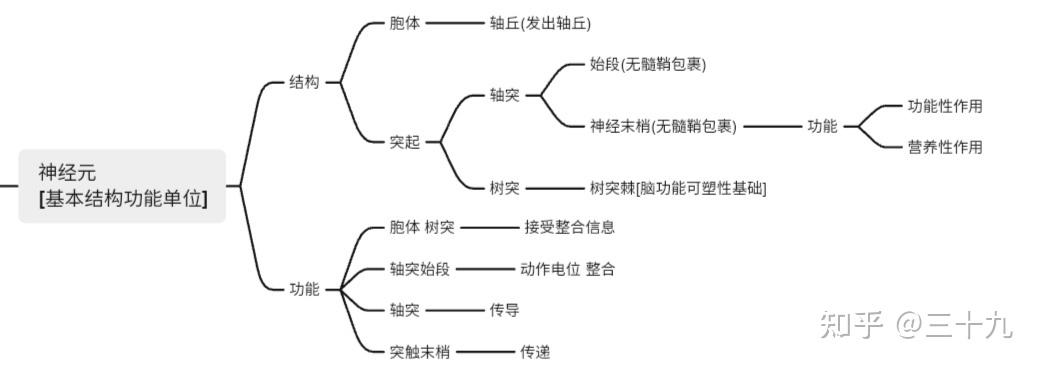一,神经元和神经胶质细胞