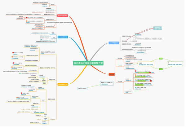 氨基酸代谢思维导图图片