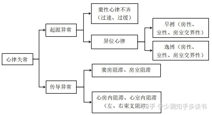 基于机器学习的心律失常分类(一)——基本理论介绍