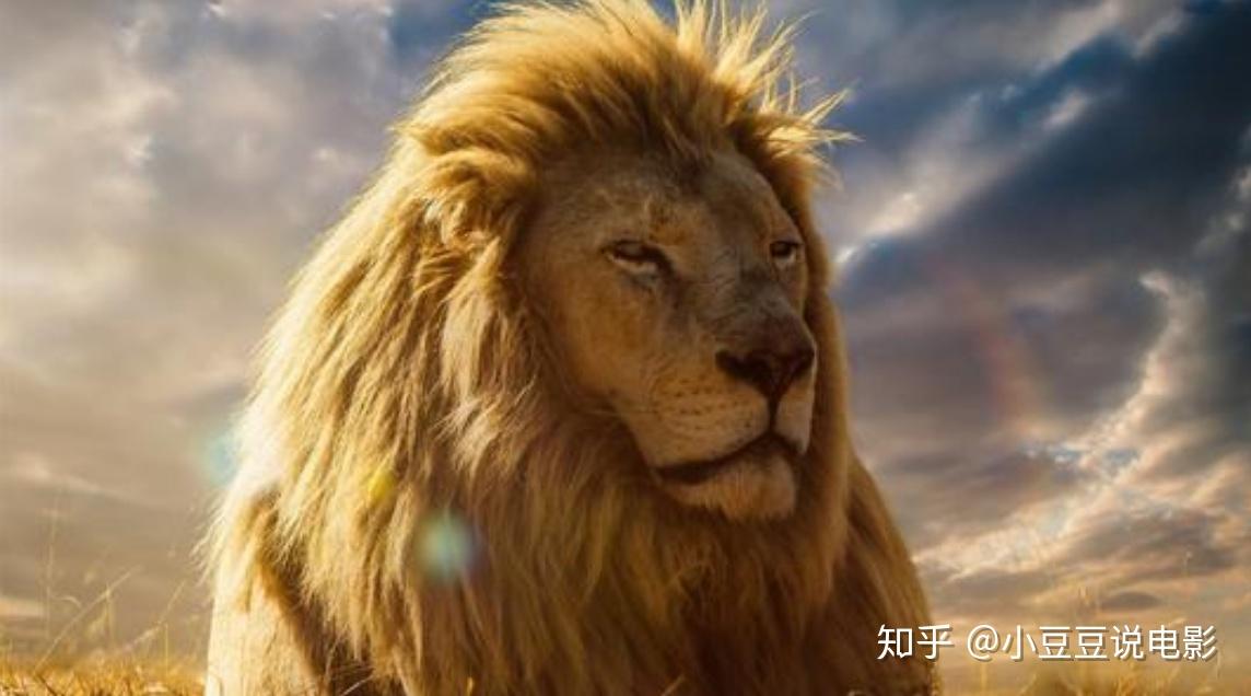 新狮子王上映首日票房破13亿元但它还是毁了童年经典