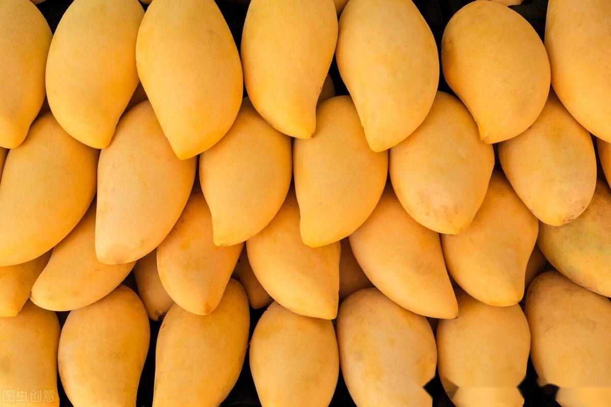 月经期吃芒果有影响吗 芒果的功效