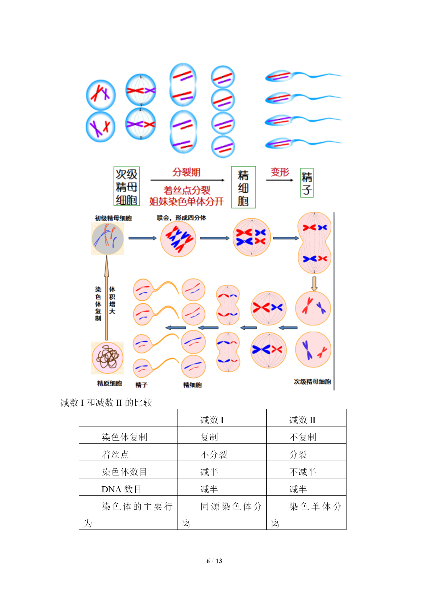 高中生物高中生物必修二教案第二章基因和染色体的关系三