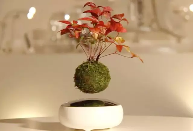 家庭装修,有哪些电子化产品能让家变的便捷、