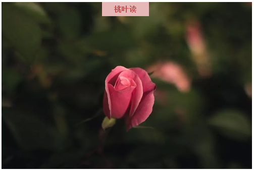 andsilver fountains mud,clouds and  eclipsesstain both moon