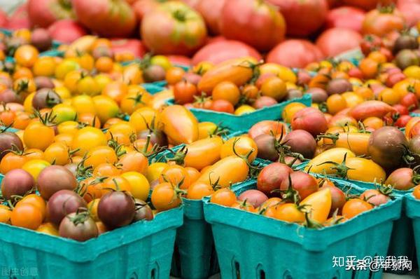 農產品質量安全有了信用紅名單和黑名單紅與黑如何界定全靠它