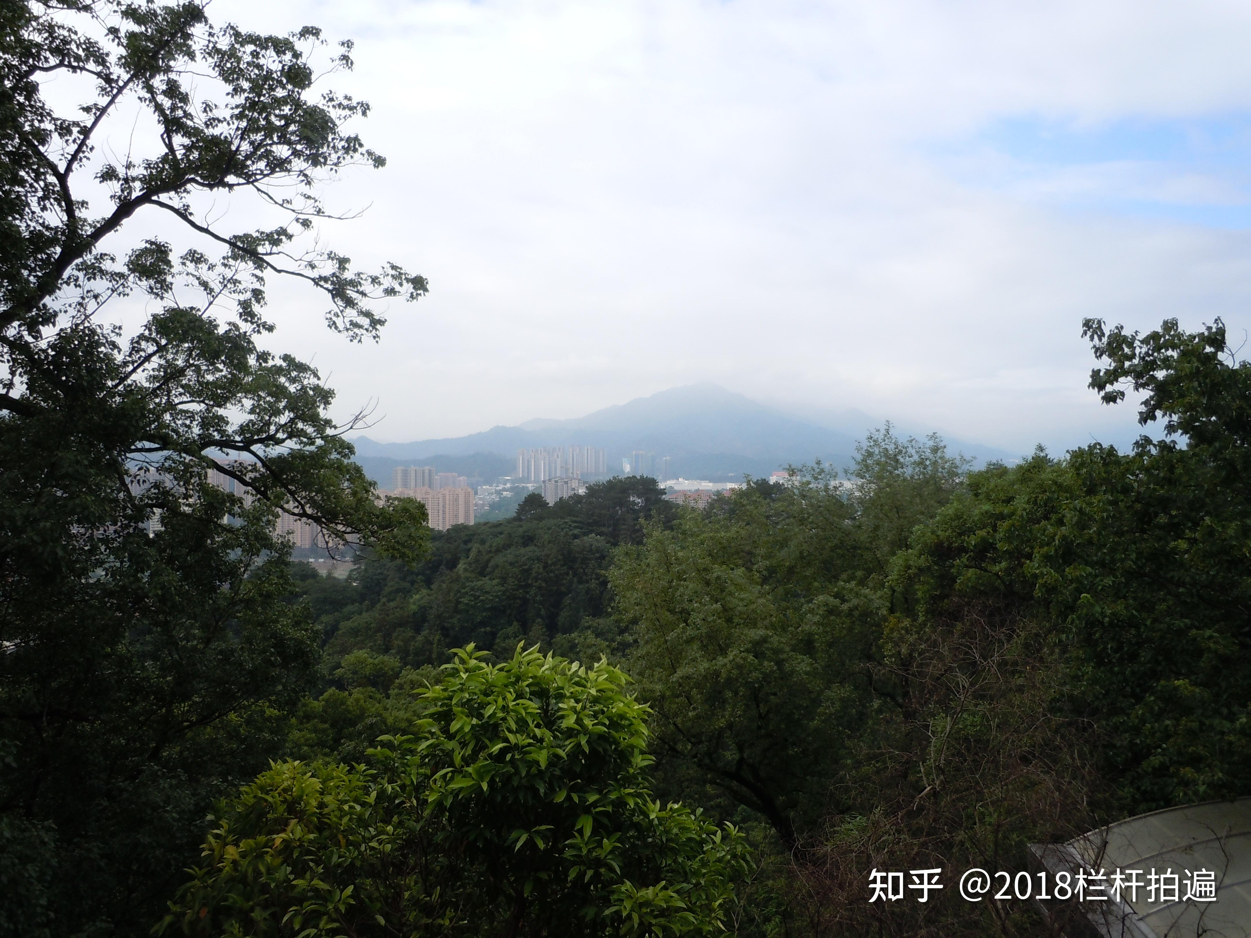 龙岩:天马山-净慈寺(2)