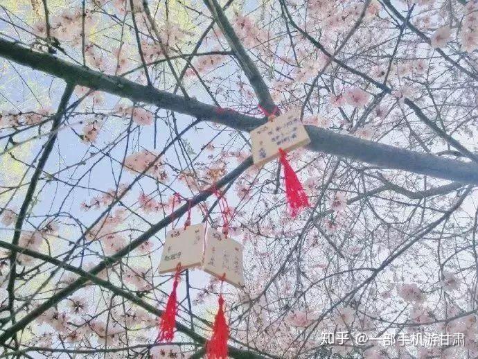 兰州理工大学