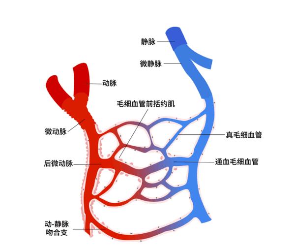 动图封面