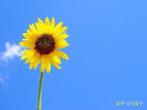 名子女生名字网名大全(小清新的女生好网名大全)