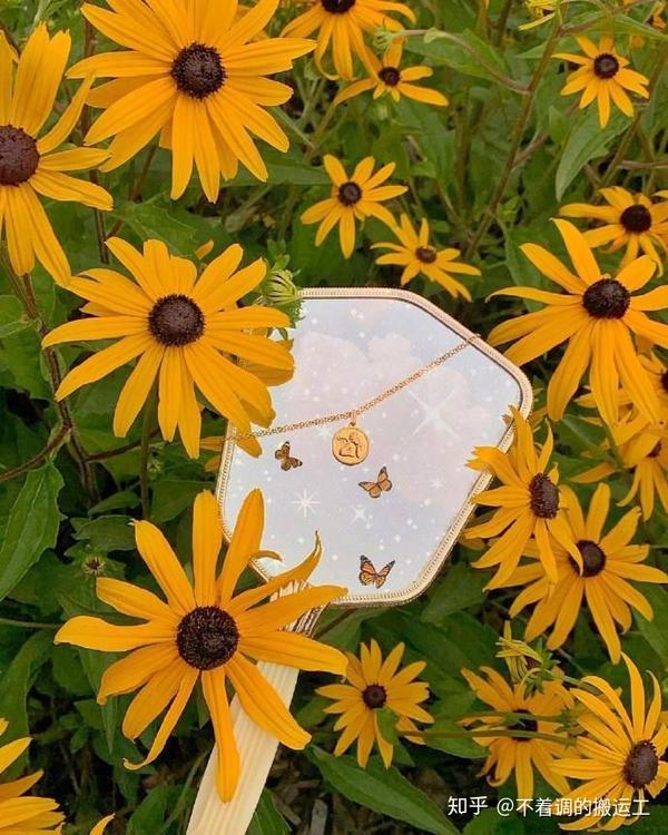 温柔的名言名句 名人名言温柔 善良温暖的名言警句