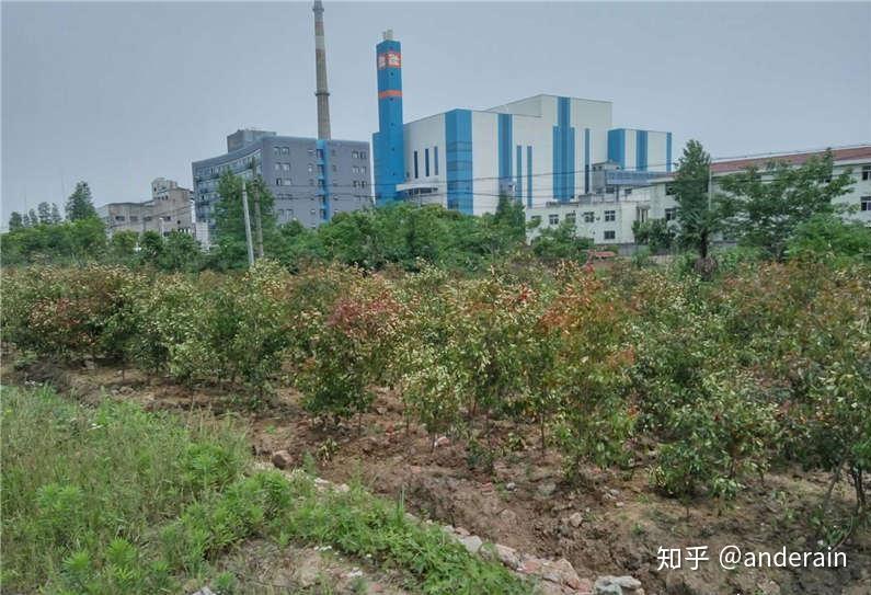 2019年6月前后,有关武汉新洲区将在阳逻陈家冲建设垃圾焚烧发电厂的