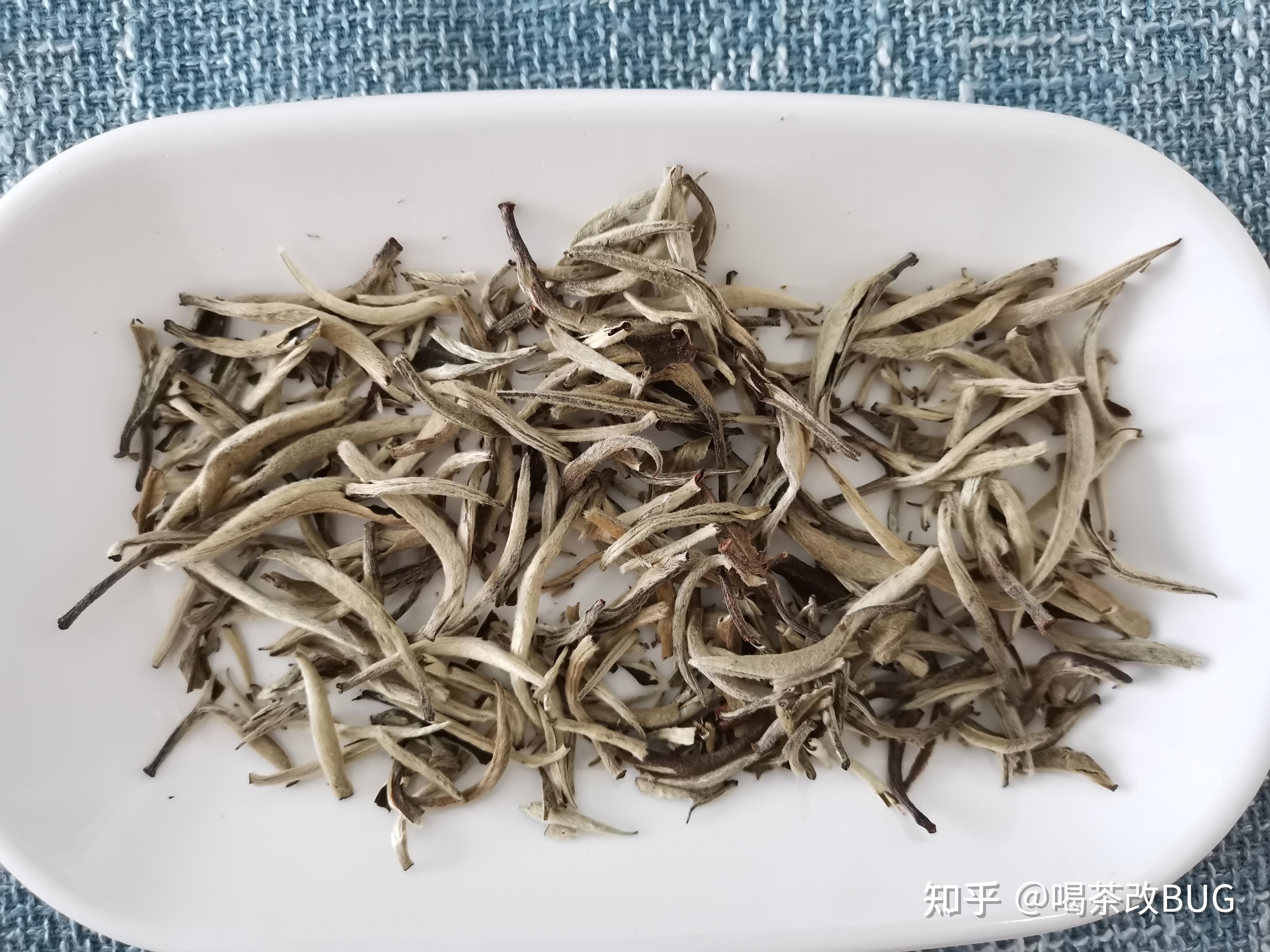 凤宁号月光白测评,一款不错的口粮云南白茶