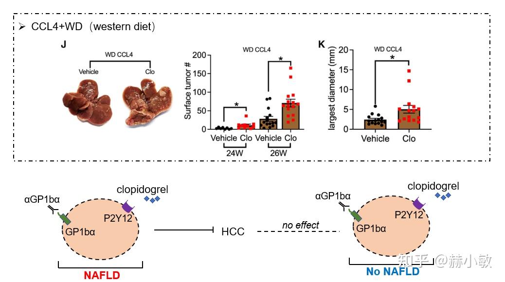 一期一会|2022年9月Cancer Cell 好文推荐 - 知乎
