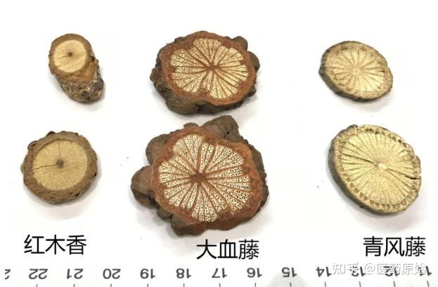 青风藤图片功效与作用图片