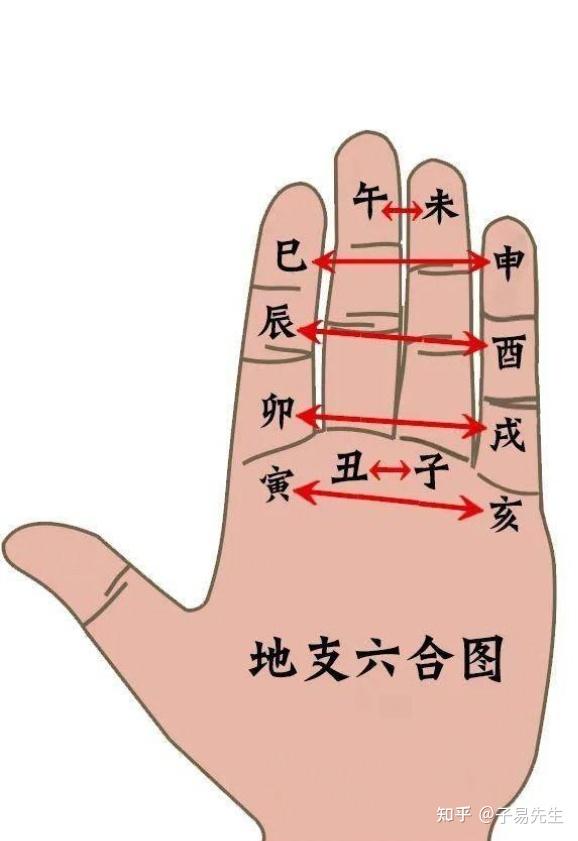 地支三、六合、刑、冲、破、害掌诀图 - 知乎